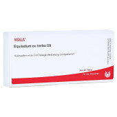 EQUISETUM EX Herba D 8 Ampullen (PZN 2921388)
