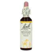 Bachbl√Љten Gentian Tropfen (PZN 59878)