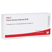 TUNICA mucosa ventriculi GL D 5 Ampullen (PZN 3788046)