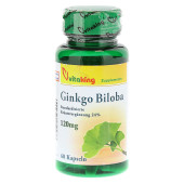 GINKGO BILOBA 120 mg Kapseln (PZN 10063645)