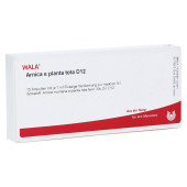 ARNICA E Planta tota D 12 Ampullen (PZN 3358044)