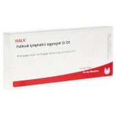 FOLLICULI LYMPHATICI aggregati GL D 5 Ampullen (PZN 2876386)