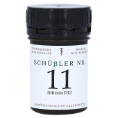 SCH√ЬSSLER Nr.11 Silicea D 12 Tabletten (PZN 13576871)