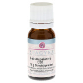 LEDUM PALUSTRE C 30 Globuli (PZN 11282496)