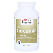 CURCUMIN TRIPLEX 500 mg Kapseln (PZN 8904095)