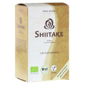 SHIITAKE VITALZPILZ Bio Terra Mundo Kapseln (PZN 7591760)