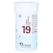 BIOCHEMIE Pfl√Љger 19 Cuprum arsenicosum D 6 Tabl. (PZN 6322578)