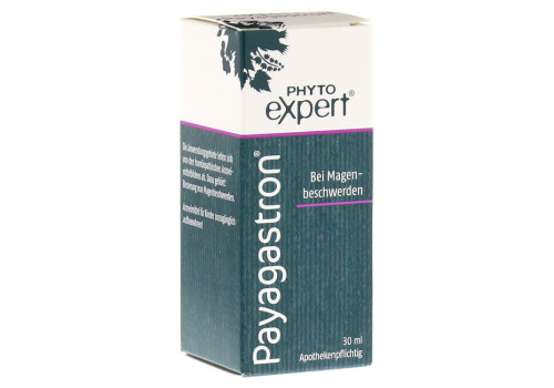 PAYAGASTRON Mischung (PZN 6910619)