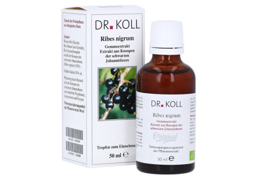 Gemmoextrakt Schwarze Johannisbeere Tropfen (PZN 9762510)