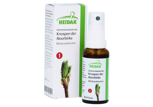 GEMMOMAZERAT Betula pubescens Spray (PZN 13306143)