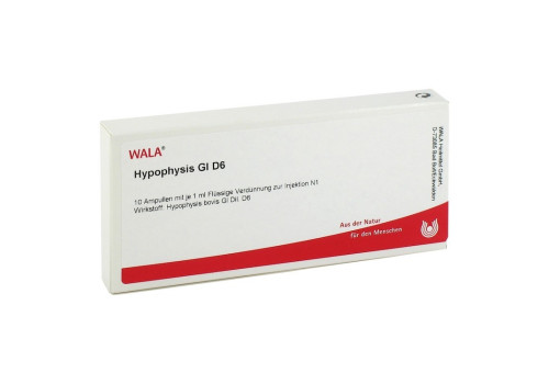HYPOPHYSIS GL D 6 Ampullen (PZN 2829493)