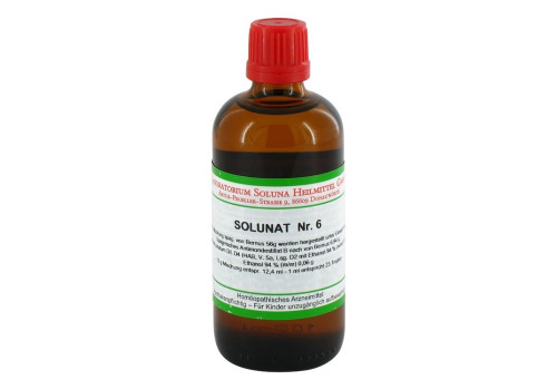 SOLUNAT Nr.6 Tropfen (PZN 2938762)