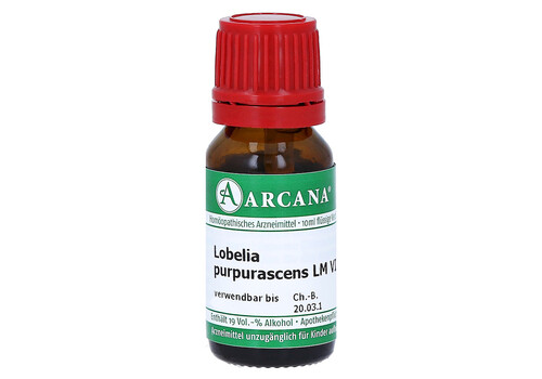 LOBELIA PURPURASCENS LM 6 Dilution (PZN 13534246)