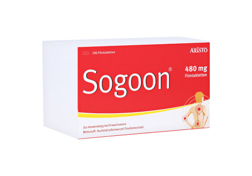 Sogoon 480mg (PZN 16686301)