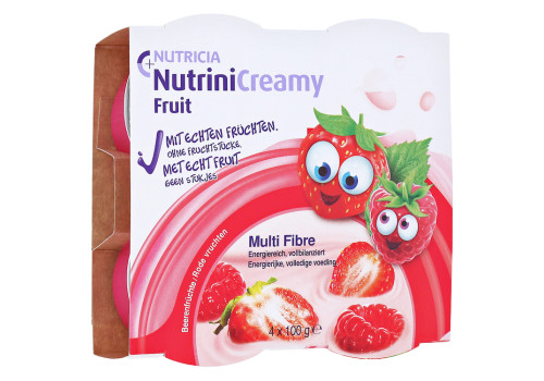 NUTRINI Creamy Fruit Beerenfrüchte (PZN 10356086)