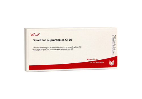 GLANDULAE SUPRARENALES GL D 6 Ampullen (PZN 2829582)