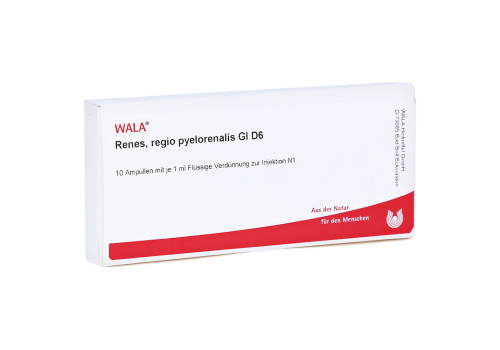 RENES REGIO pyelorenalis GL D 6 Ampullen (PZN 3354804)