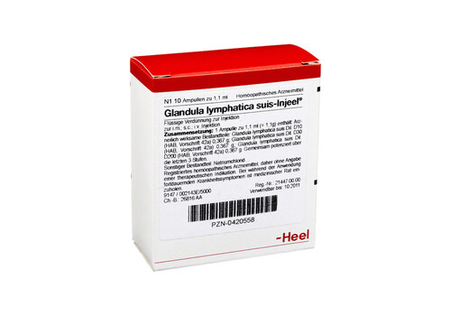 GLANDULA LYMPHATICA suis Injeel Ampullen (PZN 420558)