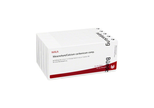 MESENCHYM/CALCIUM carbonicum comp.Ampullen – PZN 2086187 (PZN 2086187)