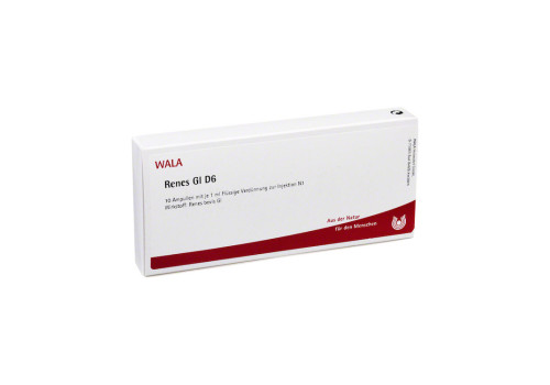 RENES GL D 6 Ampullen – PZN 2829530 (PZN 2829530)