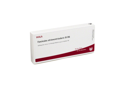 FASCICULUS atrioventricularis GL D 6 Ampullen – PZN 2829955 (PZN 2829955)