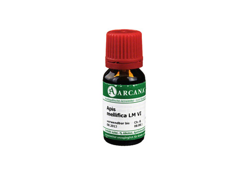 APIS MELLIFICA LM 6 Dilution – PZN 2600632 (PZN 2600632)