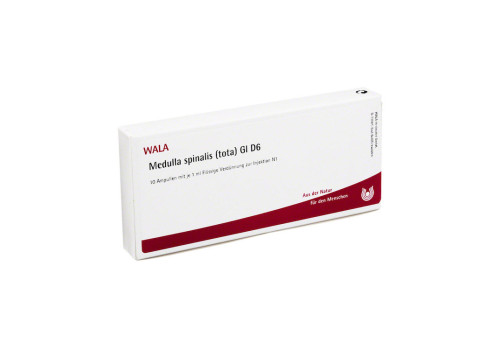 MEDULLA SPINALIS tota GL D 6 Ampullen – PZN 3356223 (PZN 3356223)