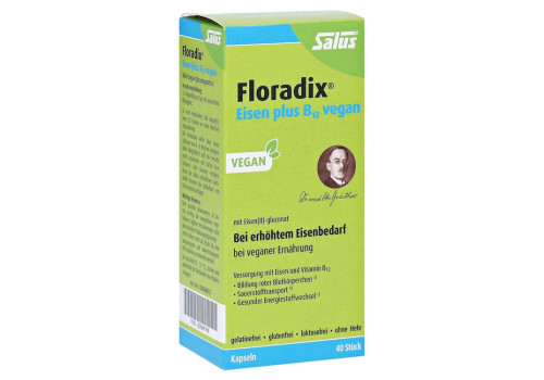 Floradix Eisen plus B12 vegan Kapseln (PZN 5566166)